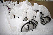 Eine Reihe verschneiter Fahrräder, München, Bayern, Deutschland