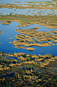 Tampico wetlands. Tamaulipas. Gulf of Mexico.