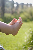  7 to 12 months, 7-12 months, Babies, Baby, Barefeet, Barefoot, Body, Body part, Body parts, Child, Children, Close up, Close-up, Closeup, Color, Colour, Contemporary, Daytime, Detail, Details, Exterior, Feet, Foot, Fragile, Fragility, Garden, Gardens, Gr