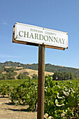 Chardonnay sign, rows of vines in vineyard. Sonoma County. California, USA