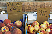 Massachusetts, Boston, Nectarines for sale outside Chinese grocery, signs with Chinese lettering, Chinatown district in city