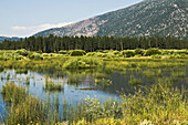 CALIFORNIA Lake Tahoe Cove East conservancy restoration project, open space and wetlands