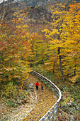 Franconia Notch State Park, New Hampshire USA