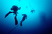 Divers ascending mooring line