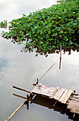 River pier. Salaya. Thailand.