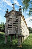 Horreo, granary built on pillars typical in the north-west of Spain. Carnota. Costa de la Muerte, La Coruña province. Spain