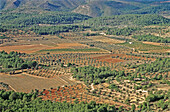 Fields by Espadán mountains park. Soneja. Castellón province, Spain