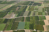 Aerial view of irrigated region. Valencia province, Comunidad Valenciana, Spain