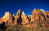 Zion National Park. Utah. USA