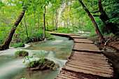 Waterfall, Plitvice lake. Plitvice National Park, Croatia