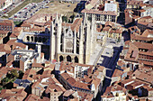 Aerial view of the Cathedral of León. Castilla y León. Spain