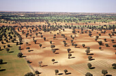 Aerial view of fields in Toledo. Castilla-La Mancha. Spain