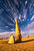 The Pinnacles. Nambung National Park. Western Australia