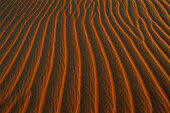 Dunes. Namib-Naukluft Park. Namib Desert. Namibia