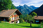 Cottage in Isenflush. Lauterbrunnental mountain at the background. Berner Oberland. Switzerland
