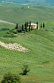 Landscape near San Quirico d Orcia. Val d Orcia. Siena province. Tuscany. Italy.