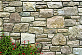 Stone wall with flowers. Britanny. France.