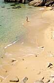 Beach at Quiberon peninsula. Côte Sauvage. Britanny. France.