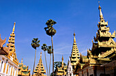 Shwe Dagon Pagoda. Yangon. Myanmar (Burma)