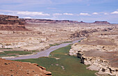 Colorado river near Hite crossing. Glen Canyon National Recreation Area. Utah. USA.