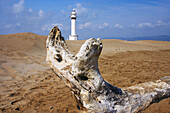 Lighthouse at Punta del Fangar, Ebro River delta Natural Park. Tarragona province, Catalonia, Spain