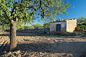 Rural landscape. Baix Penedés Region. Tarragona Province. Catalonia. Spain