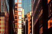 City office buildings. Melbourne. Australia