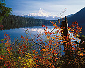 Mount Hood from Lost Lake, Mount Hood National Forest, Oregon, USA.