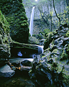 Elowah Falls. Columbia River Gorge NSA. Oregon. USA