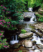 River West Lyn, Exmoor National Park. Devon. England