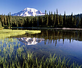 Mount Rainier at summer from reflection lake. Mount Rainier National Park. Washington. USA