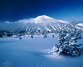 Mount Bachelor from Tumalo Mountain. Deschutes National Forest. Deschutes County. Oregon. USA