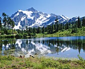 Mt. Shuksan from Picture Lake. Mt. Baker-Snoqualmie National Forest. Whatcom county. Washington. USA.