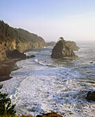 Seastacks. Samuel H. Boardman State Park. Southern coast. Oregon. USA