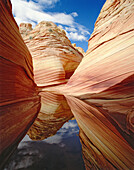 The Wave Navajo sandstone formation and rain water pond reflection, Paria Canyon Vermilion Cliffs Wilderness. Coconino County, Arizona. USA