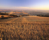 Sunrise on harvested wheat fields, Palouse region. Whitman County, Eastern Washington. USA