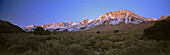 Mt. Tom in Eastern Sierra Nevada mountain range, Inyo National Forest. California, USA