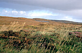 Highlands landscape. Scotland