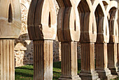 Arches in the cloister of San Juan de Duero (13th century), near Soria. Castilla-Leon. Spain