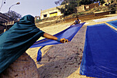 Washerwomen drying cloths at the ghats of Ganges River. Varanasi. India
