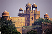 The Red Fort (17th Century). Old Delhi. India