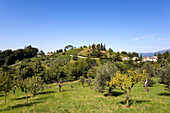 Umgebung von Asolo, Venetien, Italien