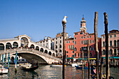 Rialtobrücke, Venedig, Venetien, Italien