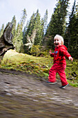 Mädchen (2-3 Jahre) unterwegs im Bödmerenwald, Bödmeren, Kanton Schwyz, Schweiz