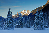 Schneebedeckter Stadel im Weitmoos, Klammspitze im Hintergrund, Ammergauer Alpen, Bayern, Deutschland