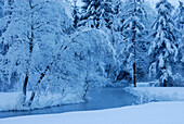 Bachlauf im Weitmoos mit verschneitem Winterwald, Ammergauer Alpen bei Ettal, Oberbayern, Bayern, Deutschland