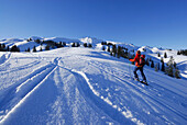 Female back-country skier in powder snow, Allgaeu Alps, Bavaria, Germany