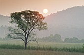 Sunset in hazy summer pastures of Cades Coves. Appalachian Scenic. Great Smoky Mountains NP. USA