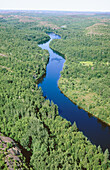 Wanapitae river and regenerated forest in the Wanapitae area. Sudbury. Ontario. Canada