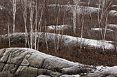 Light snow dusting rock outcrops. Lively. Ontario. Canada.
